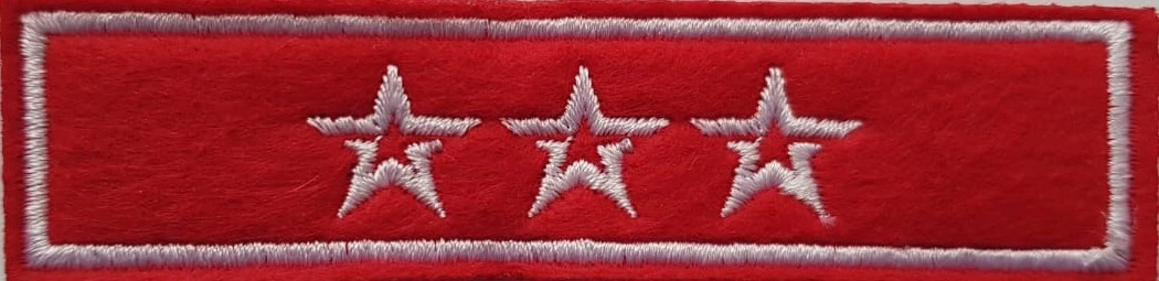 Годичник. Три звезды. (вышитый)
