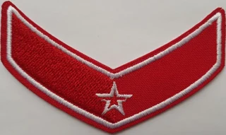Годичник. Одна звезда. (вышитый)