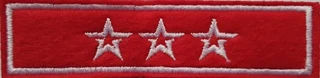 Годичник. Три звезды. (вышитый)